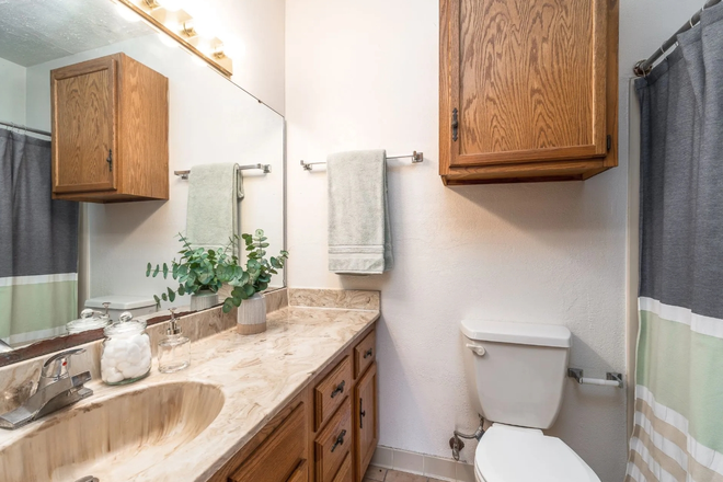 Leasing website photo of the bathroom - The Hallie Apartments