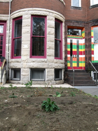 front of building - Cozy 1 Bed Studio Apartment