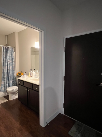 Bathroom and unit door - Summer sublease across from UI Dental School with option to extend for full
