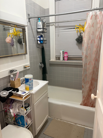 Bathroom - Nice studio available in Fenway for a sublet or lease takeover starting on 06/01