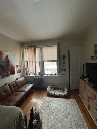 Bedroom couch, dresser, and closet - Furnished Summer Bedroom Sublease, Fits 1-2 People Apartments