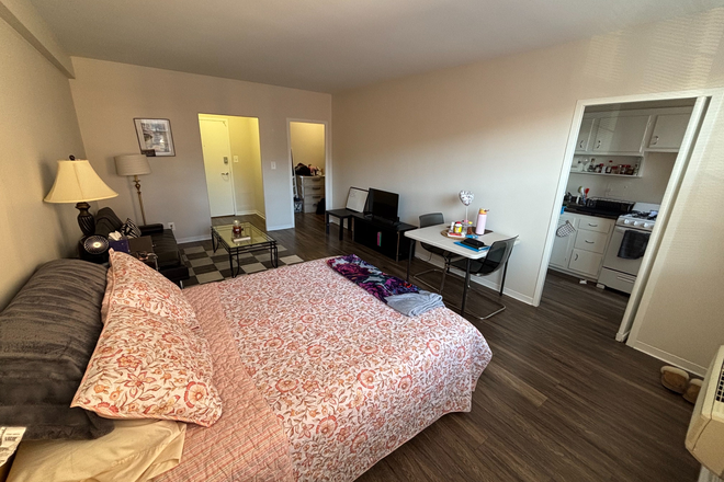 Living area - Studio at Broadview Apartments