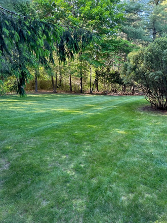 back yard - THIS HOUSE IS ONLY BEING RENTED for the ACADEMIC YEAR 9/3/2026 - 5/11/2027