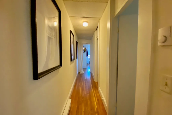 - - No Broker Fee!! Right Close to Campus! Spacious 2 bed 1 bed available 9/1 Apartments