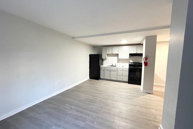 Kitchen - Recently Renovated 2 Bed 1 Bath