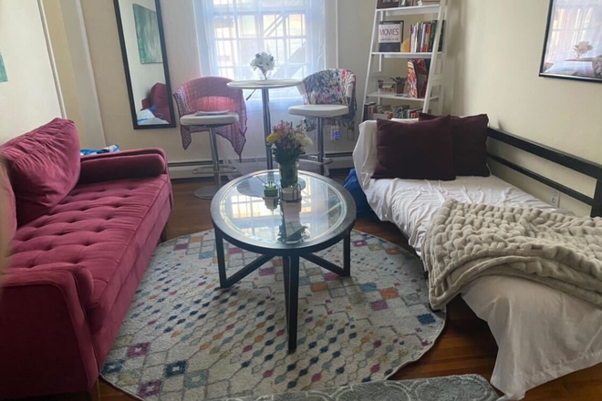 Living Room - 1BR apt-Spring St.-Princeton