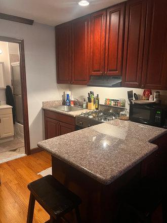 Full Kitchen / Granite Counter - Charming, Spacious Studio, Exposed Brick, High Ceilings, Fully Furnished, Amazing Kitchen, Quiet Apartments
