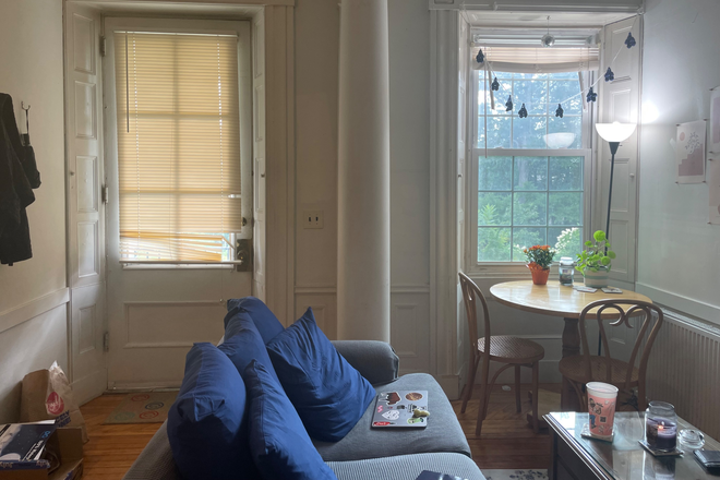 Living room - Apartment close to downtown Amherst and many bus stops