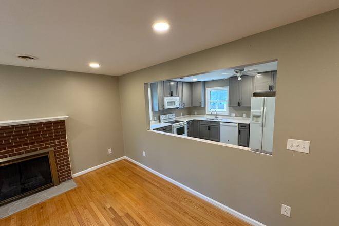 kitchen from dining - bar being installed - Freshly updated 4BR/3Ba home close to campus, shopping, etc...
