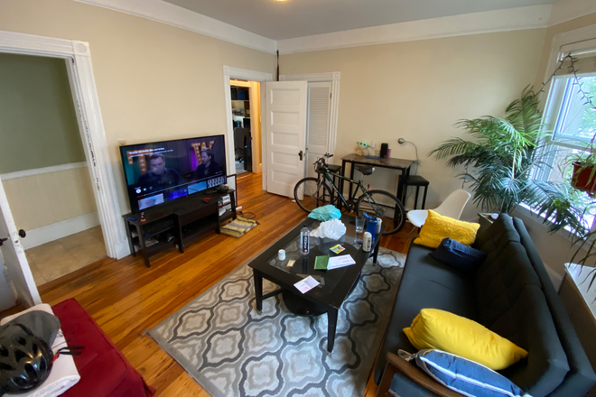 12 Oswald St - No Fee - 4 Bed 1 Bath - Sept 1 Apartments