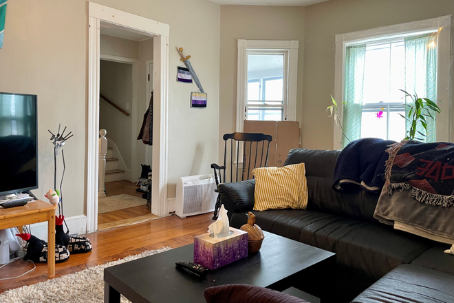 living room - Huge two floor four bedroom apartment available June!