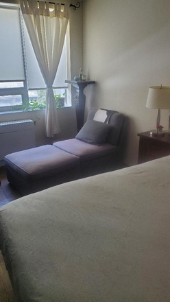 view of garden from window - Manulife Apartment, Steps To St George Campus, Shared Accomodation, Clean, Bright, 24 Hr Concierge