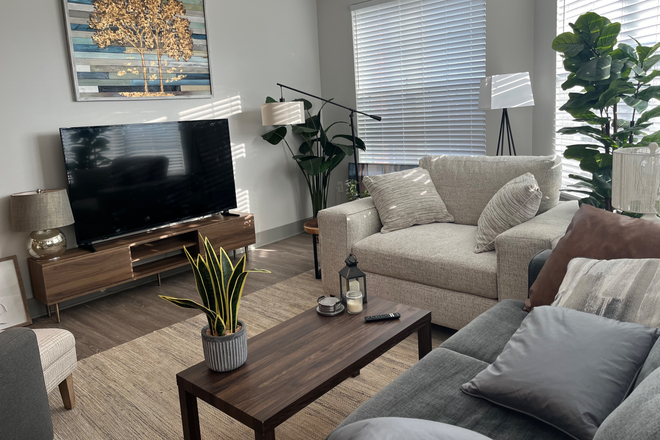 living room - Beautiful 2 bedroom 2 bath in Midtown