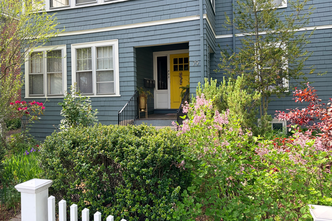Front yard and entry - Charming One Bedroom at 79 Kirkland Street