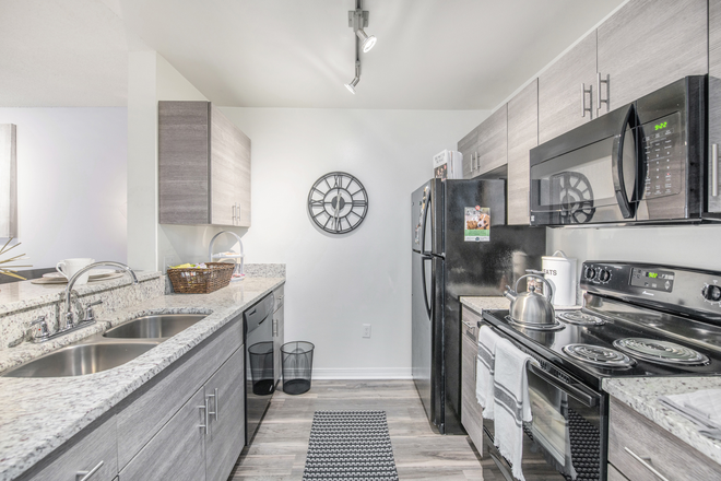 stainless steel appliances, and wooden cabinets. - 42N Apartments
