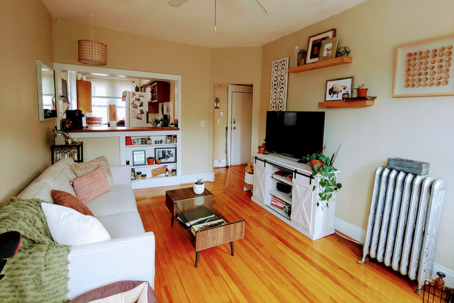 living room - Charming and sunny Chestnut Hill Ave 1 bed  for 9/1 - NO FEE! Apartments