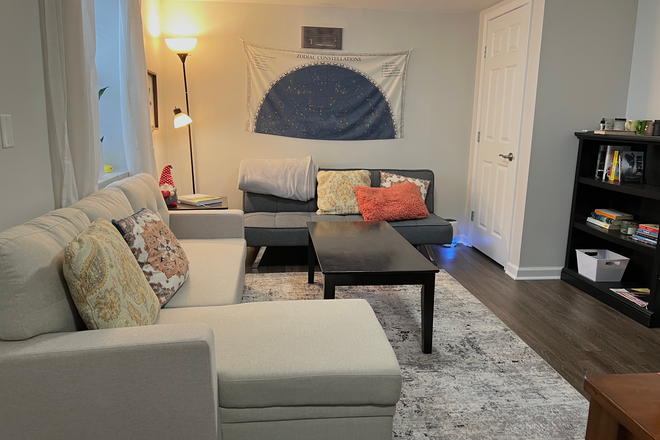 Living room - Cozy, Friendly Home Close to Campus