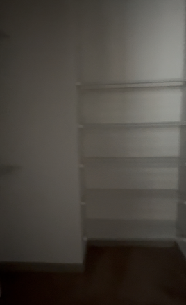 Walk-in Closet - 2BR/2BA | ROOMMATE NEEDED, ANY GENDER - $1,100/month Apartments