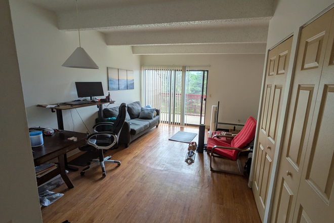 Living room - Summer sublease - flexible on dates