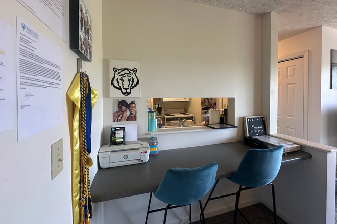 Living Room Island - 266 S. Salisbury St., #11