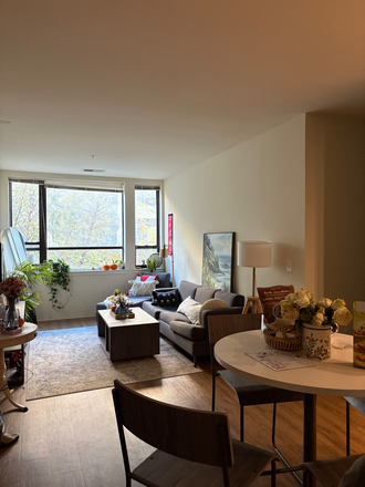 Living area from door - Apartment