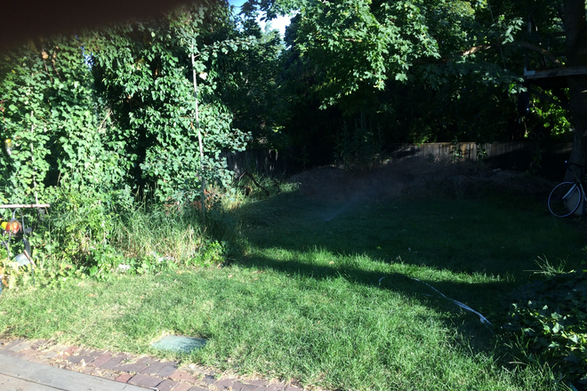 Shady back yard - 2-Bed Apartment $1,350 Small Well-Behaved Pets Welcome