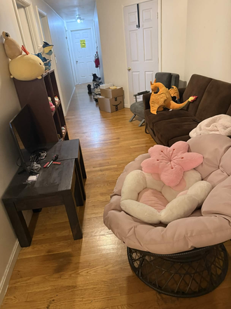 Hallway - Apartment close to Campus/Supermarket