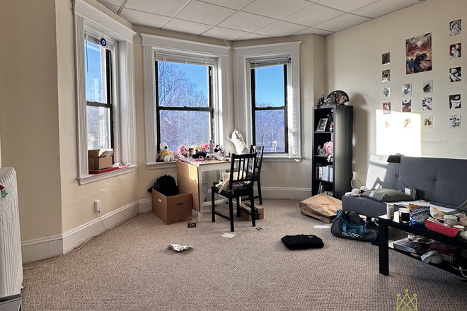 living/sleeping area - Sunny studio + alcove in Fenway for 9/1 Apartments