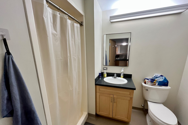 Bathroom - Ashdown house