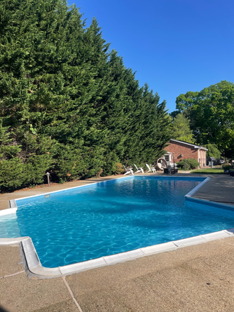 Backyard pool! - Basement rental 10 minute commute with pool access!