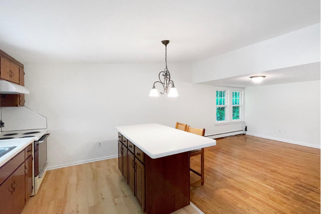 Kitchen & Living Area - 2BR apt-Route 31-Pennington