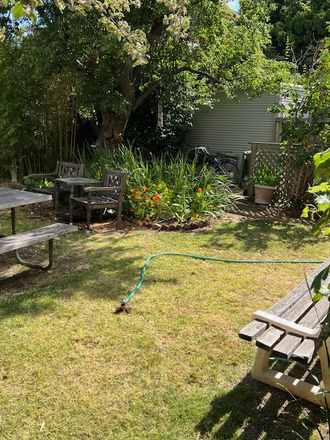 Backyard  for relaxing or studying - Studio,  Furnished,  Quiet with Garden Near Campus, Internet, free Laundry on site.