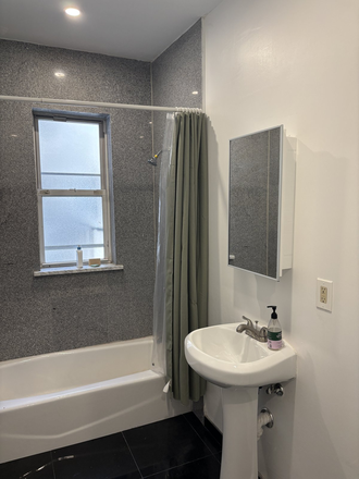 Bathroom - Alcove Studio Available 9/1/26 on Peterborough St Apartments