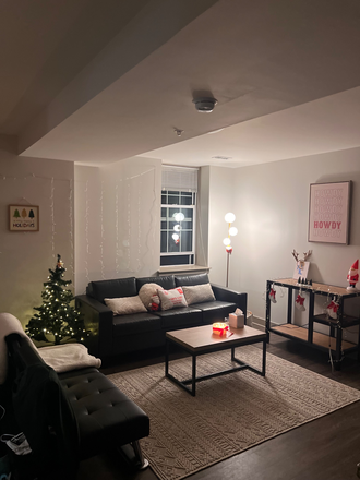 Living room - Fully Furnished Sublet Near Campus – In-Unit Washer & Dryer (utilies included in rent!!) Apartments