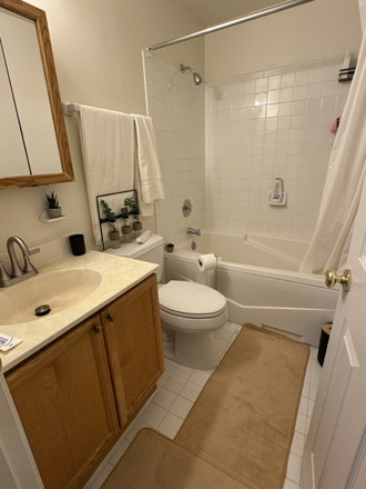 Master Bathroom - One Bedroom Suite with Private Bathroom near Campus Townhome