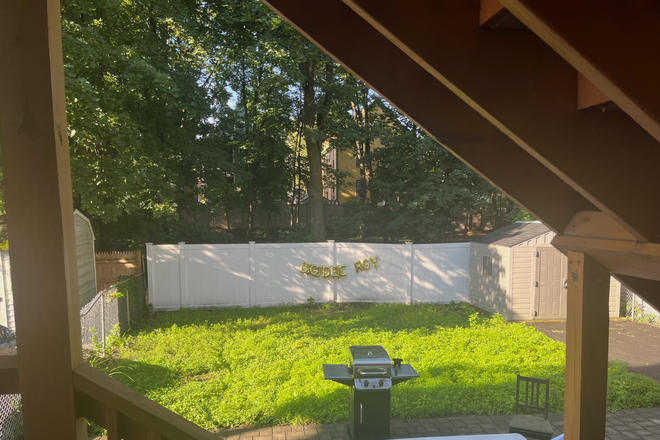Backyard - 4 bed/2 bath Apartment Near Davis Sq