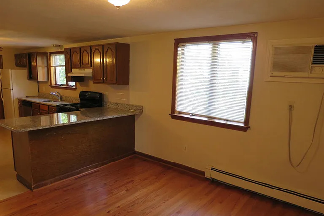 Living room - Cozy Apt — Steps from Ball Sq/Green Line and Davis Sq/Red Line