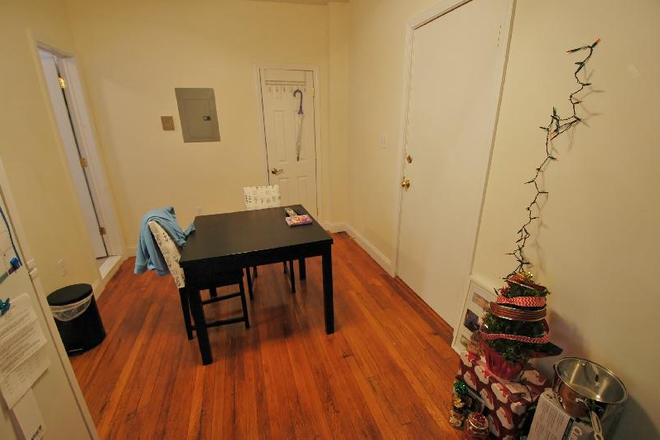 . - 1 bedroom 24 Haviland St- AVAIL 9/1/26 Apartments