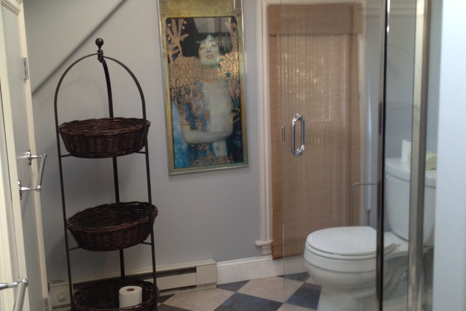 Private Bathroom with skylights & shower - Daylight-filled, Furnished, One Bedroom Suite, One Block to T and Stores, All utilities Included House