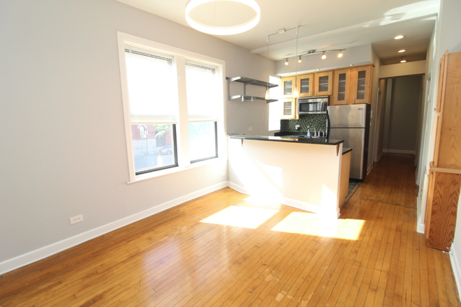 Open kitchen and living area - Sunny 3rd Floor 4 bedroom Apartment, steps to Medical District