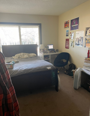 Bedroom view from the door - Spring Semester Sublet <2 Miles from Campus Apartments