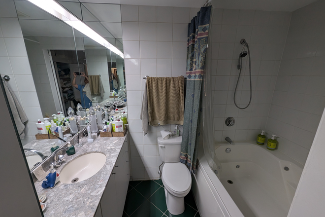 Bathroom - Flexible One yr rental of Loft/Condo while we are traveling abroad - Furnished