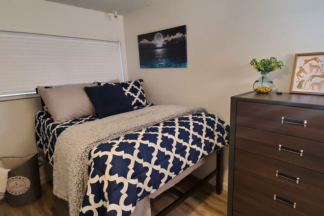 typical room - Campus Court, Capri Eugene, really close to campus Apartments