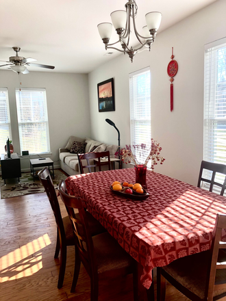 Open floor with big windows, very bright livingroom - 3beds 2.5bath Newtown House---free bus to campus, walk to groceries, shops, restaurants, cinema