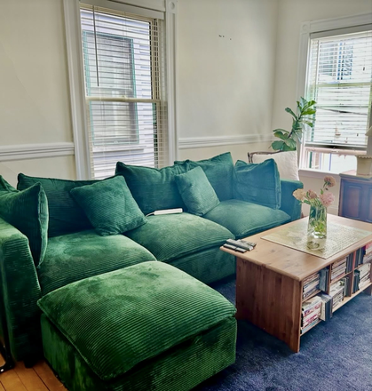 Living Room - Fantastic 3BR/2BA Apartment in Lovely Victorian Building