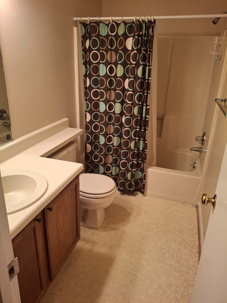 Bathroom - 1BR, PRIVATE BATH in my condo. Kitchen access. Rent adjusted for time away from LU. $475/mo.