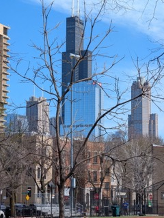 Outside street view - Stunningly Renovated 3-Bed Townhome in the Heart of Little Italy Steps from UIC, Taylor St. & More!