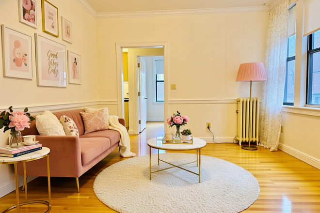 1 - Fully Renovated 2 bedroom NO FEE Elevator Building Green Line Acces (b) 12/1 Apartments