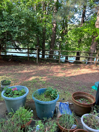 Peaceful Backyard with lake and Patio Area - Two Rooms Available for KSU Students, Faculty, and Staff House