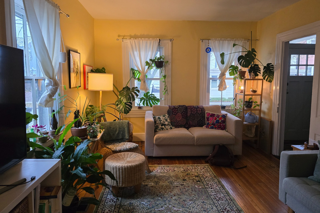 Living room - Furnished room in shared home for female-Green St-Princeton